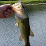 Profile Picture of jessenewberry (@jessse_newberry) on Instagram