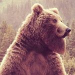 Profile Picture of Chris Cease (@chris.cease.92) on Instagram