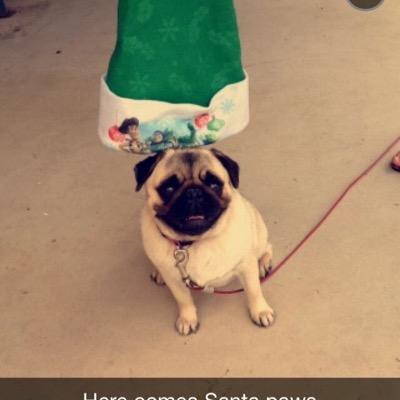 Profile Picture of Mel Hackett (@melhackett373) on Twitter