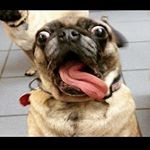 Profile Picture of Adam Kovařík (@_adam.kovarik_) on Instagram