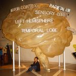 Profile Picture of John Noel M. Viaña (@helicalmemoirs) on Instagram