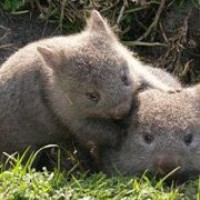 Profile Picture of James Tak Kwan Fung (@james-tak-kwan-fung) on Quora