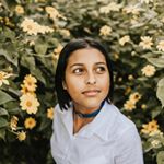 Profile Picture of brittany hodgson arguedas (@britt.ha) on Instagram