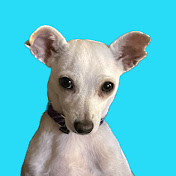 Profile Picture of Kevin Fleury (@kevfleury) on Youtube