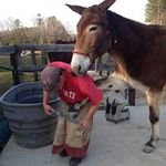 Profile Picture of Craig Horvath (@horvathcraig) on Instagram