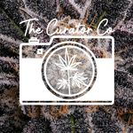 Mark Archer - Instagram Profile Picture of Mark Archer (@thecuratorco.me) on Instagram