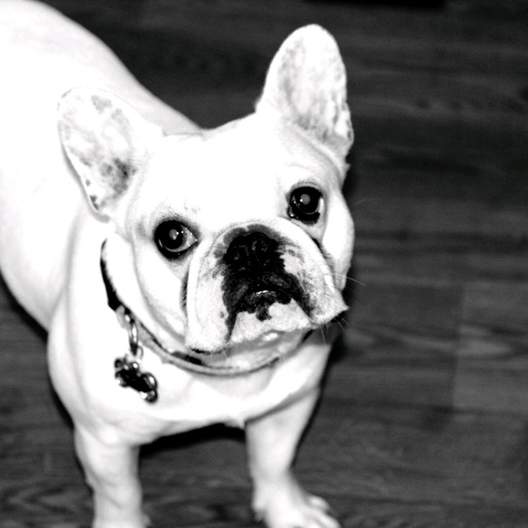 Shawna Whitehead - Poshmark Profile Picture of Shawna Whitehead (@tsawhitehead) on Poshmark