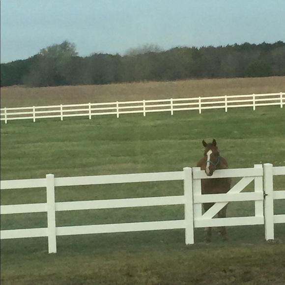 Profile Picture of Mona Cochrane (@monacochrane) on Poshmark