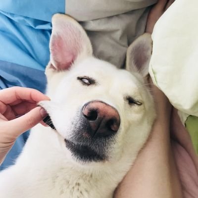 Profile Picture of Yishan Liu (@LiuYishan1116) on Twitter