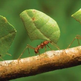 Profile Picture of Joni Wong (@JoniWon32012404) on Twitter