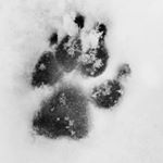 Profile Picture of Maluska_f (@maluska_f) on Instagram