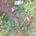 Profile Picture of Herbert Gordon (@herbert.gordon.520) on Facebook