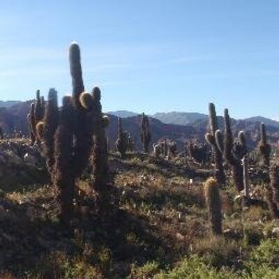 Profile Picture of Paul Fetherston (@Paul_Fetherston) on Twitter