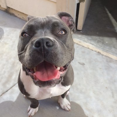 Profile Picture of Shawn Vickers (@cshawnvickers) on Twitter