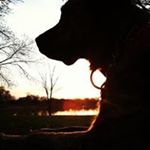 Profile Picture of jennifer laskewitz (@jensmodernlife) on Instagram