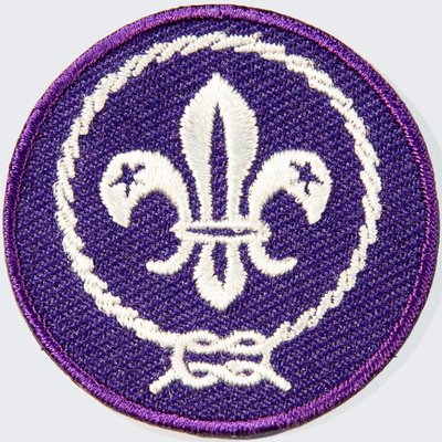 Profile Picture of World Scouting (@worldscouting) on Twitter