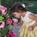 Profile Picture of Rachel Powell Sinohue (@rachelsin) on Pinterest