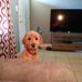 Profile Picture of Mary Joann Skipper (@mary.j.skipper.5) on Facebook