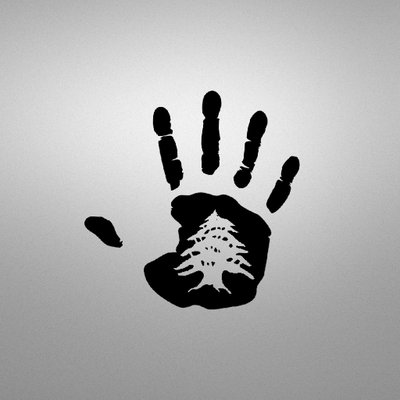 Profile Picture of Hassan Mroue (@lbibw) on Twitter