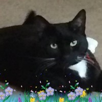 Profile Picture of David Lindell (@david-lindell-5) on Quora