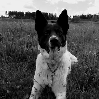 Profile Picture of Daniel Brandl (@daniel_brandl) on Instagram