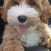 Profile Picture of Robert Behrend (@robert.behrend.79) on Facebook