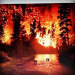 Profile Picture of Pat Mizell (@pat.mizell.1) on Instagram