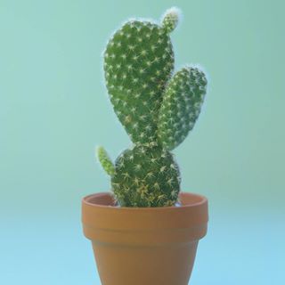 Profile Picture of Sun Jackson (@sun.jackson.750) on Facebook