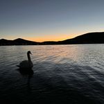 Profile Picture of Mari Yoshimura (@mari.yy0214) on Instagram