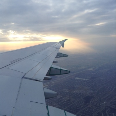 Profile Picture of AdamNichol_ (@adamnichol_) on Tiktok