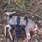 Profile Picture of Paul Matherne (@mathernepaul) on Instagram