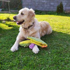 Profile Picture of Alicja Tamara Kowalc (@jessi.mici) on Tiktok