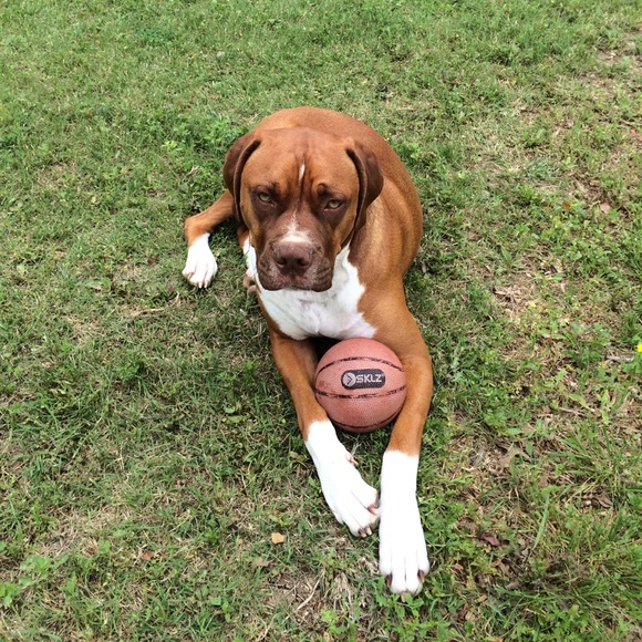 Profile Picture of Travis Cornelius (@tcornelius37) on Poshmark