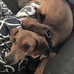 Profile Picture of Stacy Bryan (@spaceystaysee) on Instagram