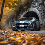 Profile Picture of Lucas Brice (@Lucas-Brice) on Facebook