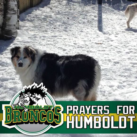 Profile Picture of Edward Mackey (@mrvair) on Poshmark