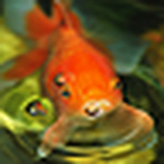 Profile Picture of Mike Mateo (@nissins_ramen) on Flickr