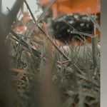 Profile Picture of Wayan Cinta (@wayan.cinta.319) on Instagram