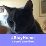 Profile Picture of Adele Yates (@adele.yates.5) on Facebook