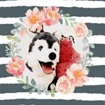 Profile Picture of Charles Chou (@carpediem_89757) on Instagram