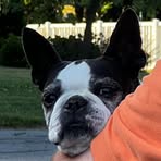 Profile Picture of John Dommel (@John-Dommel) on Facebook