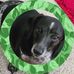 Profile Picture of Brenda Butcher (@brenda.butcher.125323) on Facebook