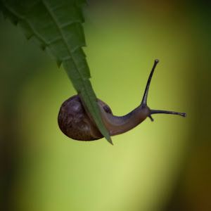 Profile Picture of janetklaver3 (@janet.klaver) on Tiktok