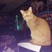 Profile Picture of George Tiger (@george.tiger.94) on Facebook