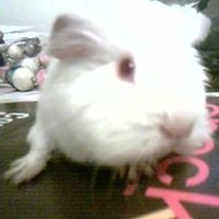 Profile Picture of Emma Spring (@emma-spring) on Quora