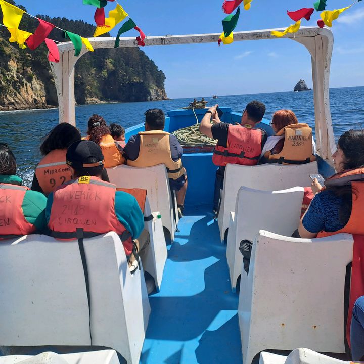 Alexander - Tiktok Profile Picture of Alexander (@alexanderlancha) on Tiktok