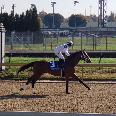 Profile Picture of Tony Pezzulo (@TonyPezzulo27) on Twitter