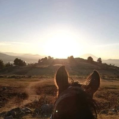 Profile Picture of Maximina Sánchez Doroteo (@DoroteoMaximina) on Twitter