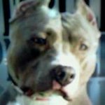 Profile Picture of darrylwomack (@darrylwomack) on Instagram