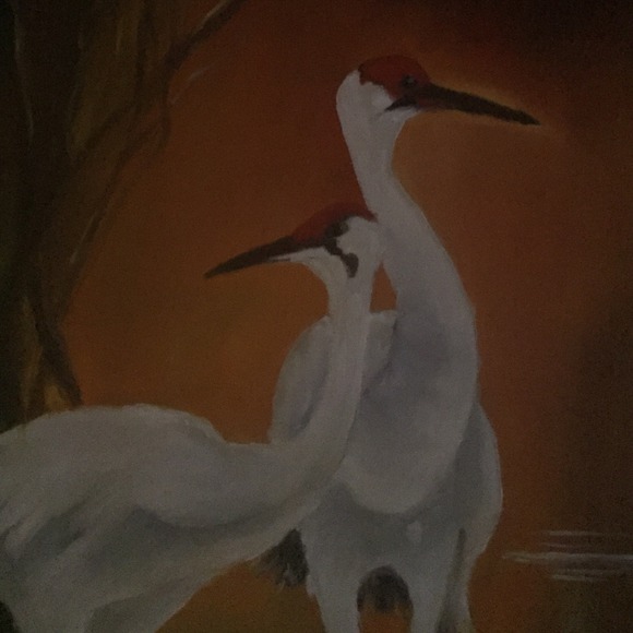 Niece Mabry - Poshmark Profile Picture of Niece Mabry (@nmabry) on Poshmark